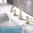Widespread 2-handle Bathroom Faucet with Drain Assembly-81015342