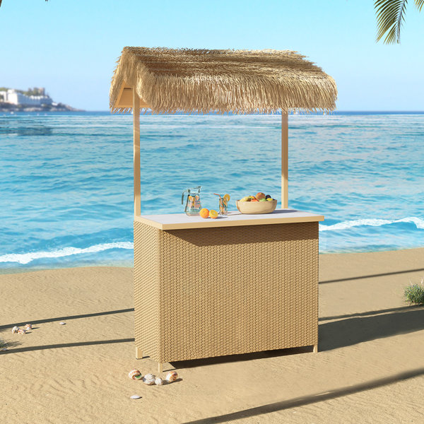 Bay Isle Home™ Brighi Bar Counter with Wicker Outer Material & Reviews ...