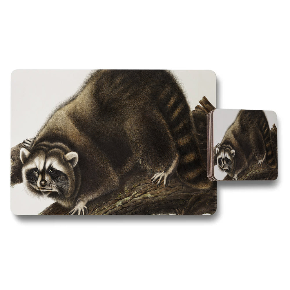 Raccoon Themed Woodland Placemat And Coaster Set For Dining Table