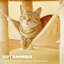Habitation pour chat 55 po Bineta-1167393301