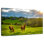 Horse Farm