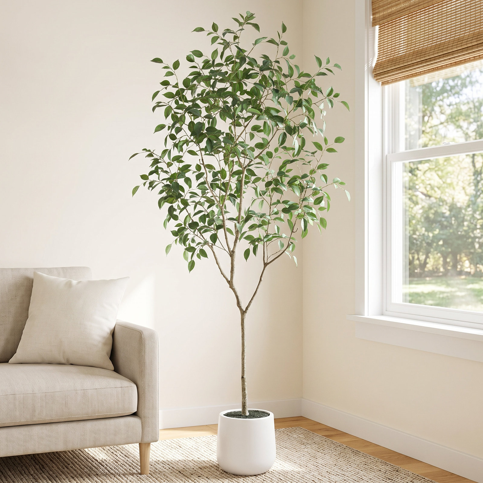 Anasta Ficus Tree in Pot, 84" H x 28" W x 28" D