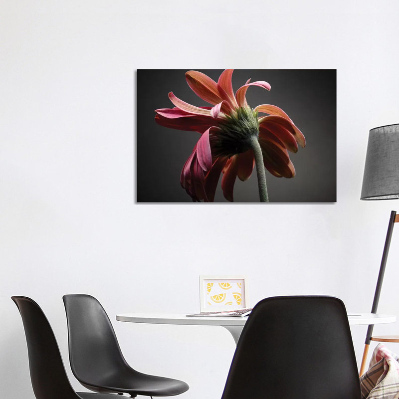 Studio Flowers IV 1 Piece Wrapped Canvas Wall Art, 101.6 cm H x 66.04 cm W x 1.91 cm D