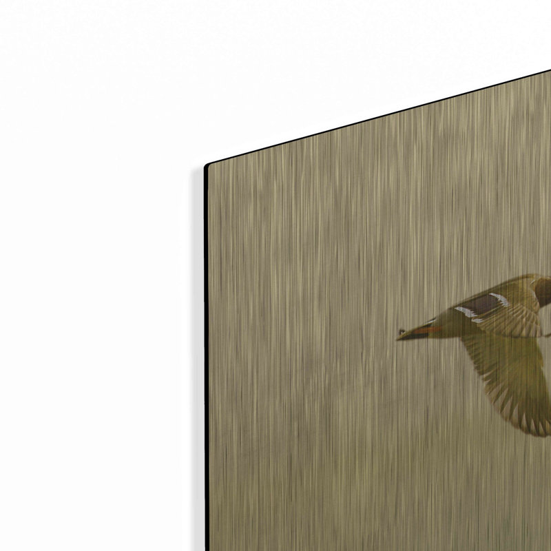 «Ducks Flying» par Carlos Casamayor, art mural en métal de luxe, H 24 po x l 48 po