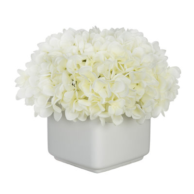 Hydrangea Arrangement