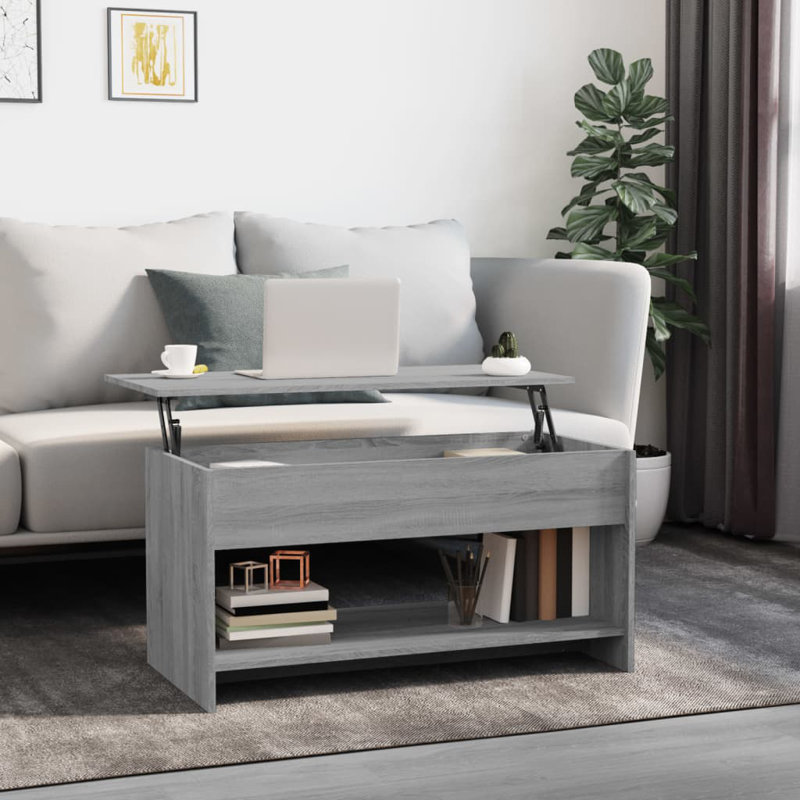 Jarosłav Frame Coffee Table with Storage, Grey