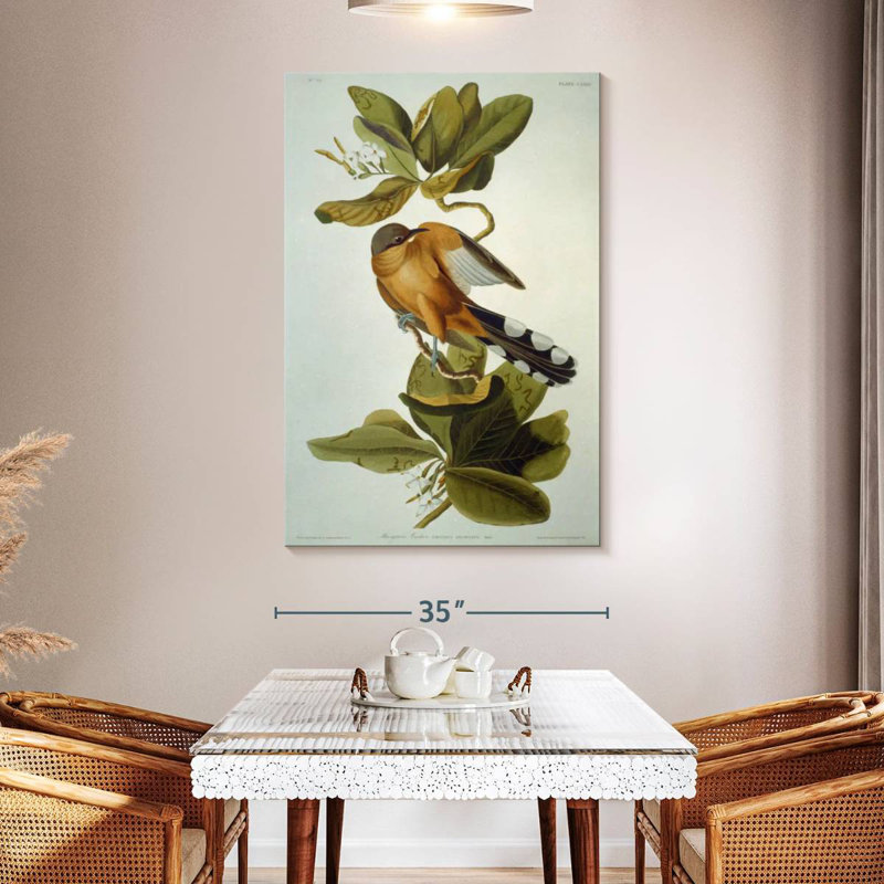 Brampt Mangrove Cuckoo, 30" H x 20" W