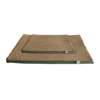 Premium Pet Bed for Dogs & Cats, Green, 31.5 x 23.6 x 1.2 inches | 100% Polyester Outer Fabric, 100% Foam Filled | Comfortable & Supportive Design, Ideal for Cozy Naps & Relaxation, Perfect for Home & Travel