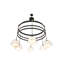 6 - Light Chandelier