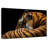 Brampt Majestic Tiger-108691970