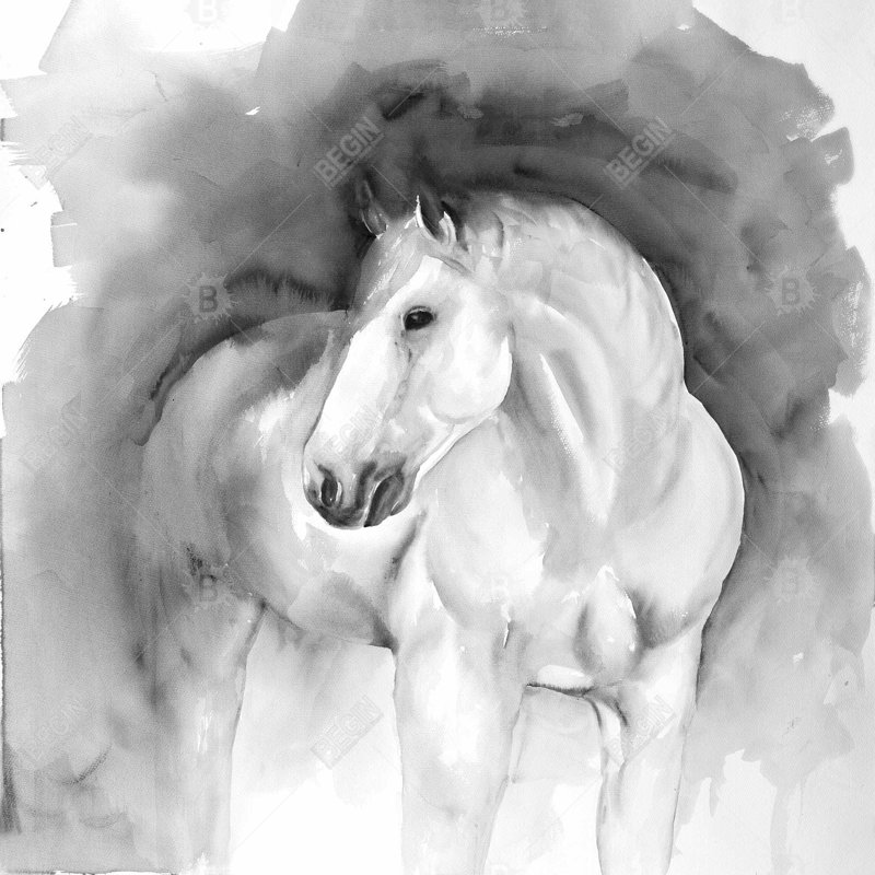" Beauty ", 36"H x 36"W x 1.5"D