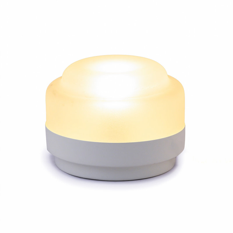 Lamp W/Glass Shade