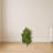 Baby Schefflera Artificial Plant