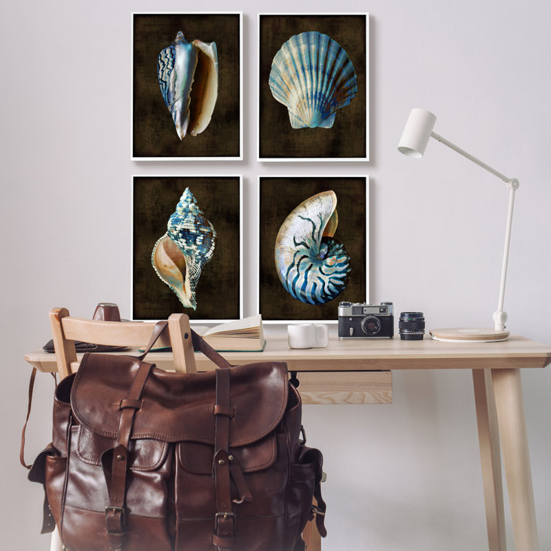 4 pièces de coquillages sur fond noir par Caroline Kelly, H 40 po x l 32 po x P 1,5 po, Giclée encadrée blanc bord de mer