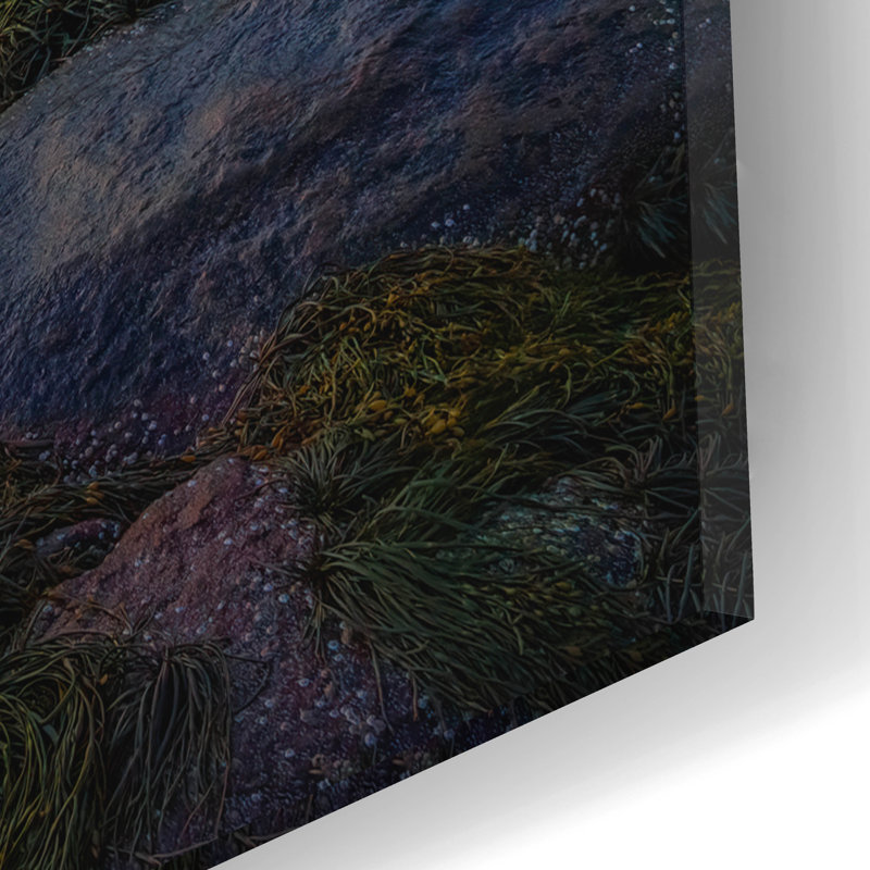 Art mural en verre Highland Dunes «Annisquam Twilight» par Rick Berk, H 16 po x l 12 po x P 0,13 po