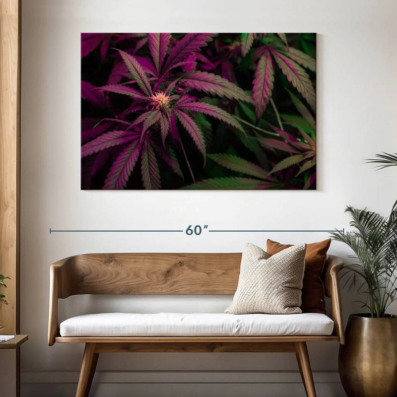 Lavande, marijuana, H 32 po x l 48 po