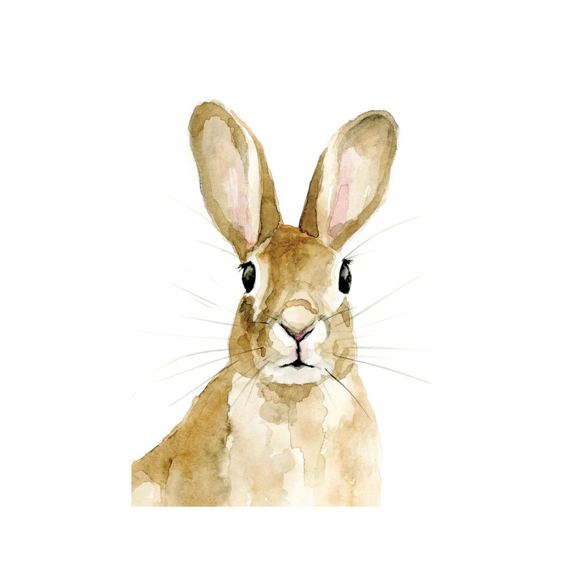 Bunn I by Victoria Barnes - Wrapped Canvas Print, 30.48cm H x 20.32cm W x 1.91cm D