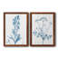 "Antique Botanical In Blue III", ensemble de 2 peintures sur toile encadrées-124724879-124724877