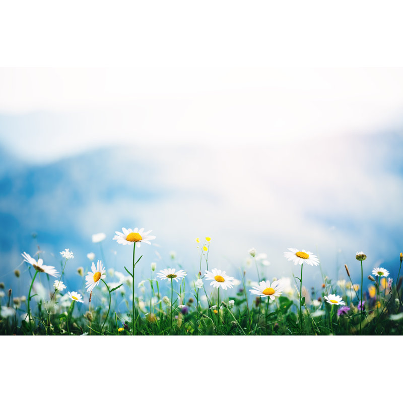 Alpine Meadow by Borchee - No Frame Art Prints on Canvas, 51cm H x 76cm W
