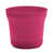 Fuchsia is out of stock