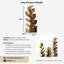 Burruss Solid Wood Tabletop Wine Bottle Rack Brown