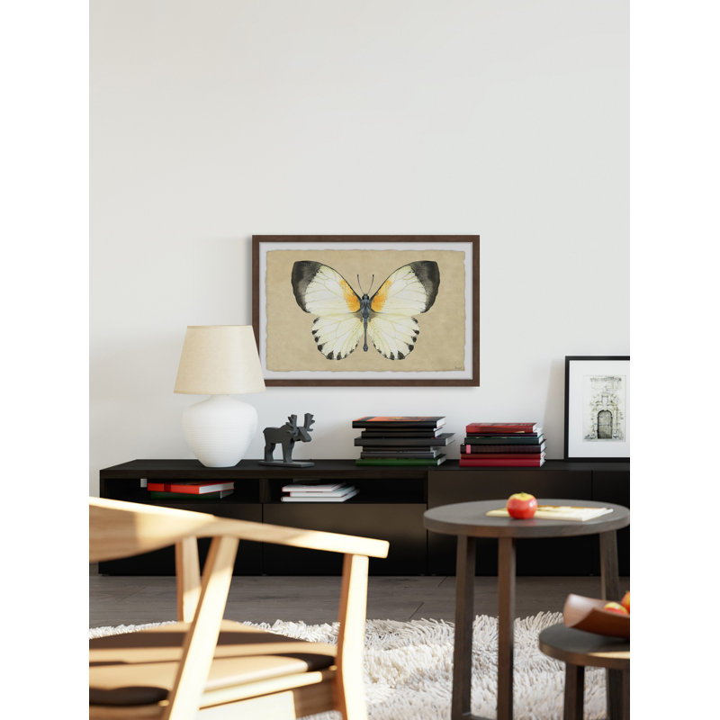 Delicate Beauty - Single Picture Frame Print, 41cm H x 61cm W x 3.81cm D