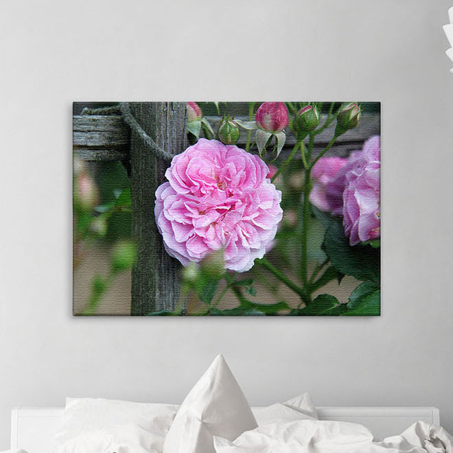 Print on Canvas, 100cm H x 150cm W x 4cm D