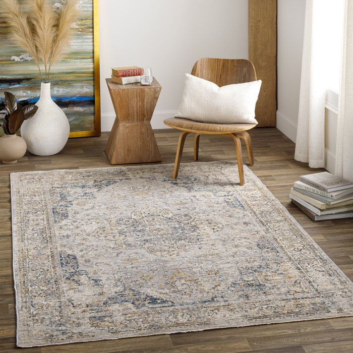 Birch Lane™ Anatolie Performance Rug & Reviews | Wayfair