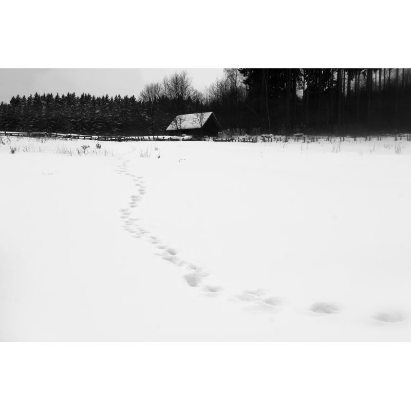 Foot Steps In Snow by AndreasWeber - Wrapped Canvas Print, 30cm H x 46cm W