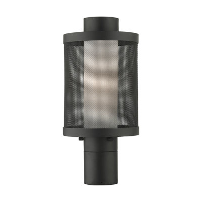Lantern Head