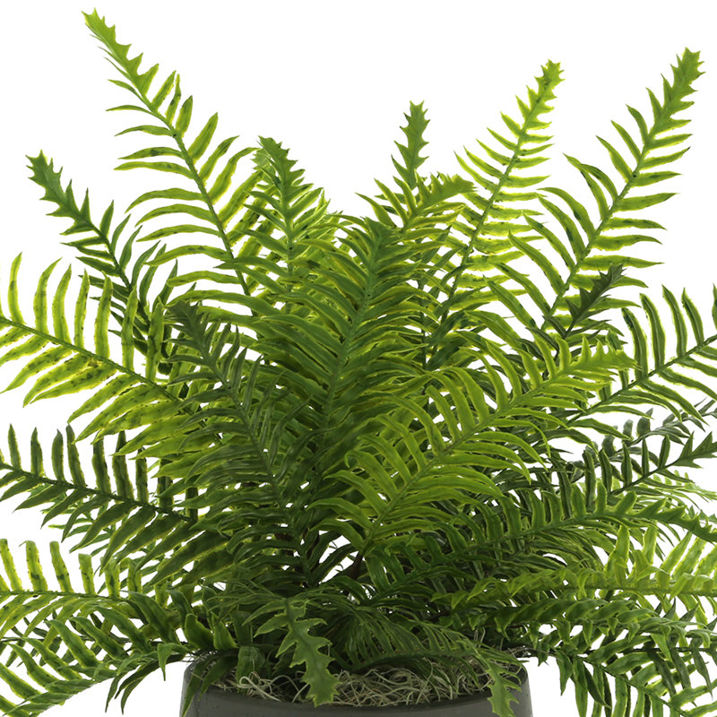 Outdoor UV-Rated Fern in Fiberstone Pot, Black