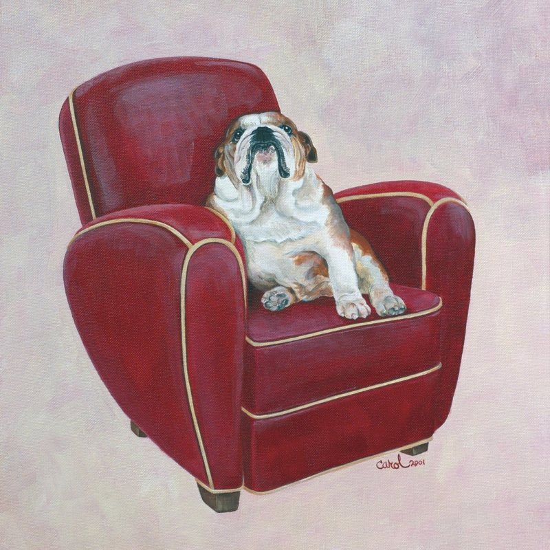 Bouledogue sur rouge, H 30 po x l 30 po