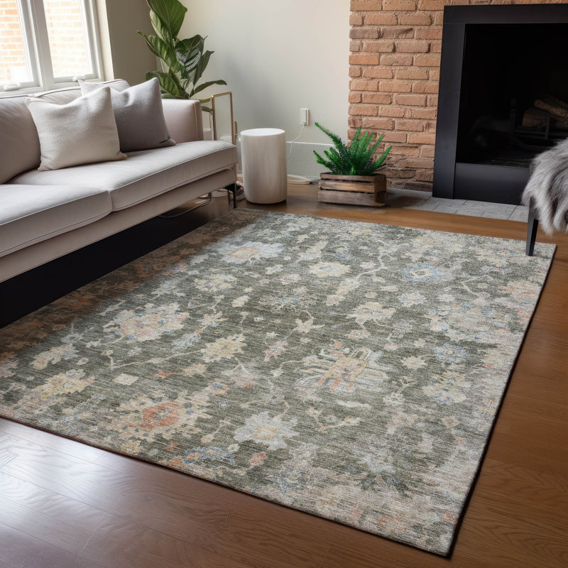 Machine Washable Indoor/Outdoor Francky ACN2355 Traditional Rug, Rectangle 8' x 10'