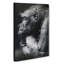 The Crouching Gorilla In Abstract - Wrapped Canvas Print-55338858