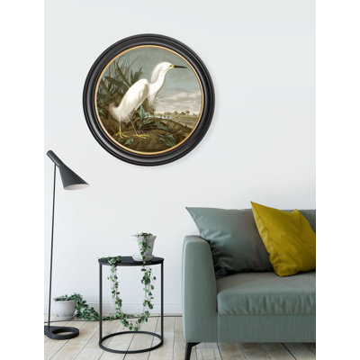 Snowy Heron In Round Frame by Audubon - Single Picture Frame Print on Archival Matt 230gsm Paper