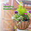 Elevated Planter