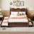 Charming Platform Bed with Drawers and Pull-Out Trundle for Versatile Use-1042010935