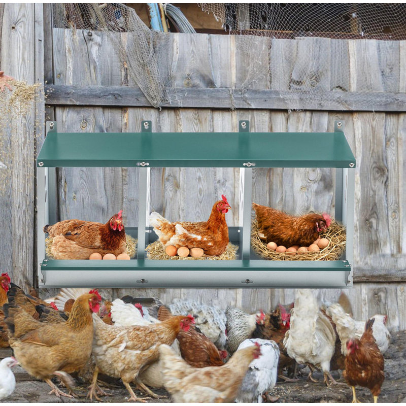 Boîtes de nidification en métal pour poulet, boîte de nidification à 3 compartiments, boîtes de nidification en acier galvanisé pour poules, facile à assembler