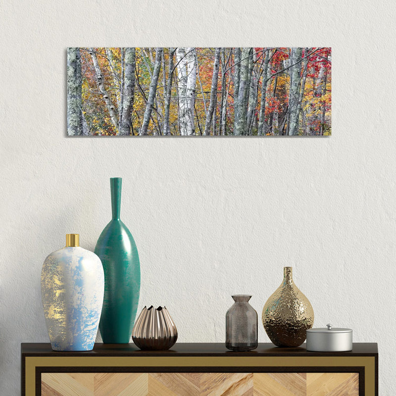 USA Maine Colourful Autumn Foliage In The Forests Of Sieur De Monts Nature Center by Judith Zimmerman - Wrapped Canvas Panoramic Print