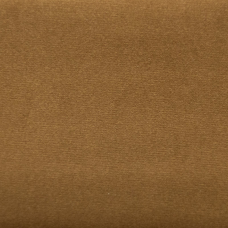 Tissu Sahara, Muscade