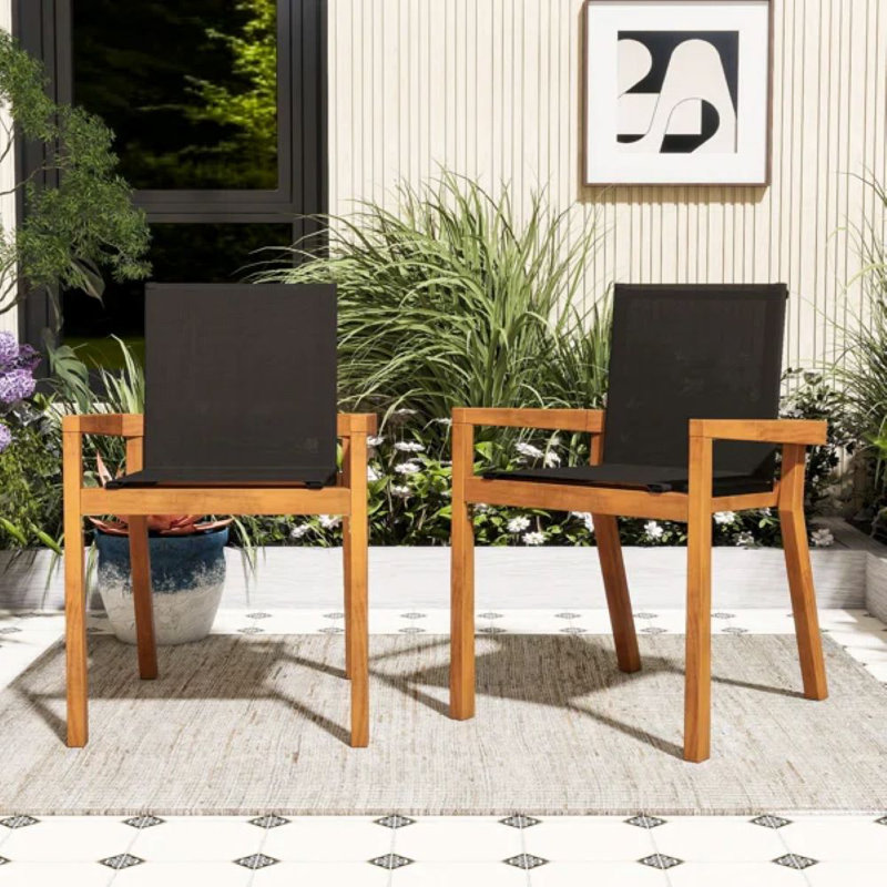 Ensemble de 2 chaises de salle à manger d'extérieur en bois avec sièges en filet, Noir / teck