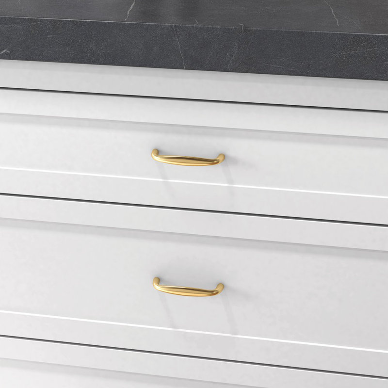 Polished Brass Oval Cabinet Pull with Mounting Hardware