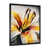 Black Picture Framed