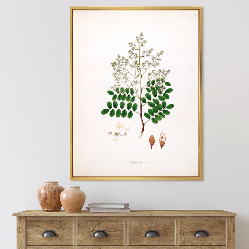 «Vintage Botanicals» - Peinture sur toile, H 32 po x l 16 po x P 1 po, Cadre flottant doré