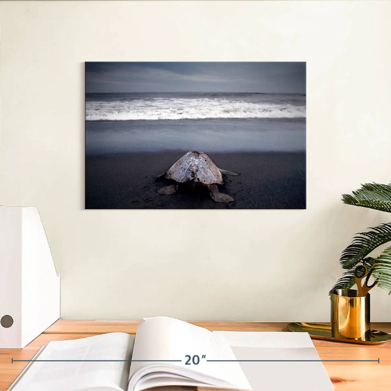 Brampt Ridley Sea Turtle, 8" H x 12" W