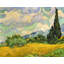 Champ de blé avec cyprès-1930959957
