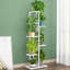 Plant Stand 6 Tier-1526414163