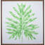Selloum Verde Print by Jenny Kiker