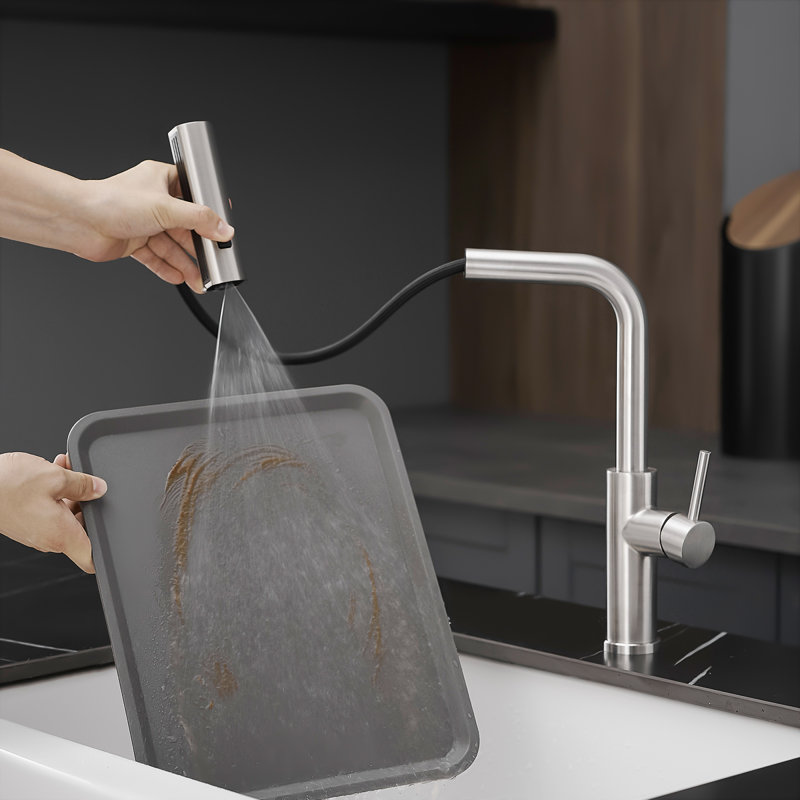 Robinet de douche en acier inoxydable à jet avancé pour chaque scénario de cuisine