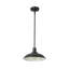 Luminaire suspendu d'extérieur 1 lumière Florence-2023585572-2023585583